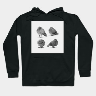 Pirate Pigeons Hoodie